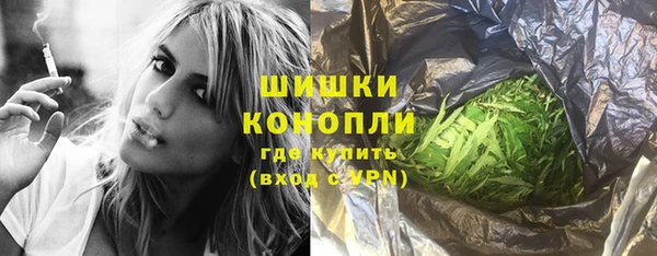 шишки Тобольск