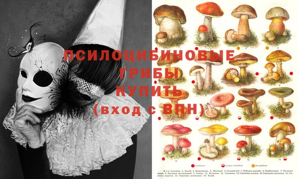 прущая мука Алзамай